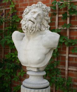 Head of Laocoon