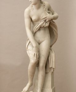 Venus Rising from the Waves