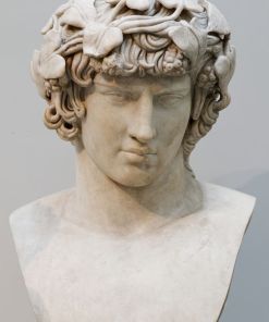 Portrait of Antinous