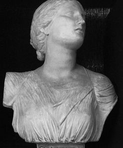 Bust from The Daughters of Niobe