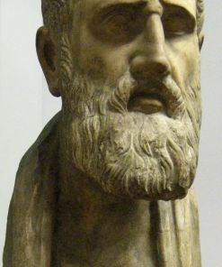 Portrait of Zeno of Kition, Greek Philosopher