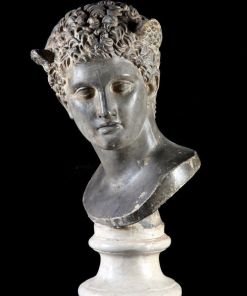 Head of a little Faun