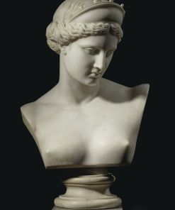 Bust of the Venus de Capua