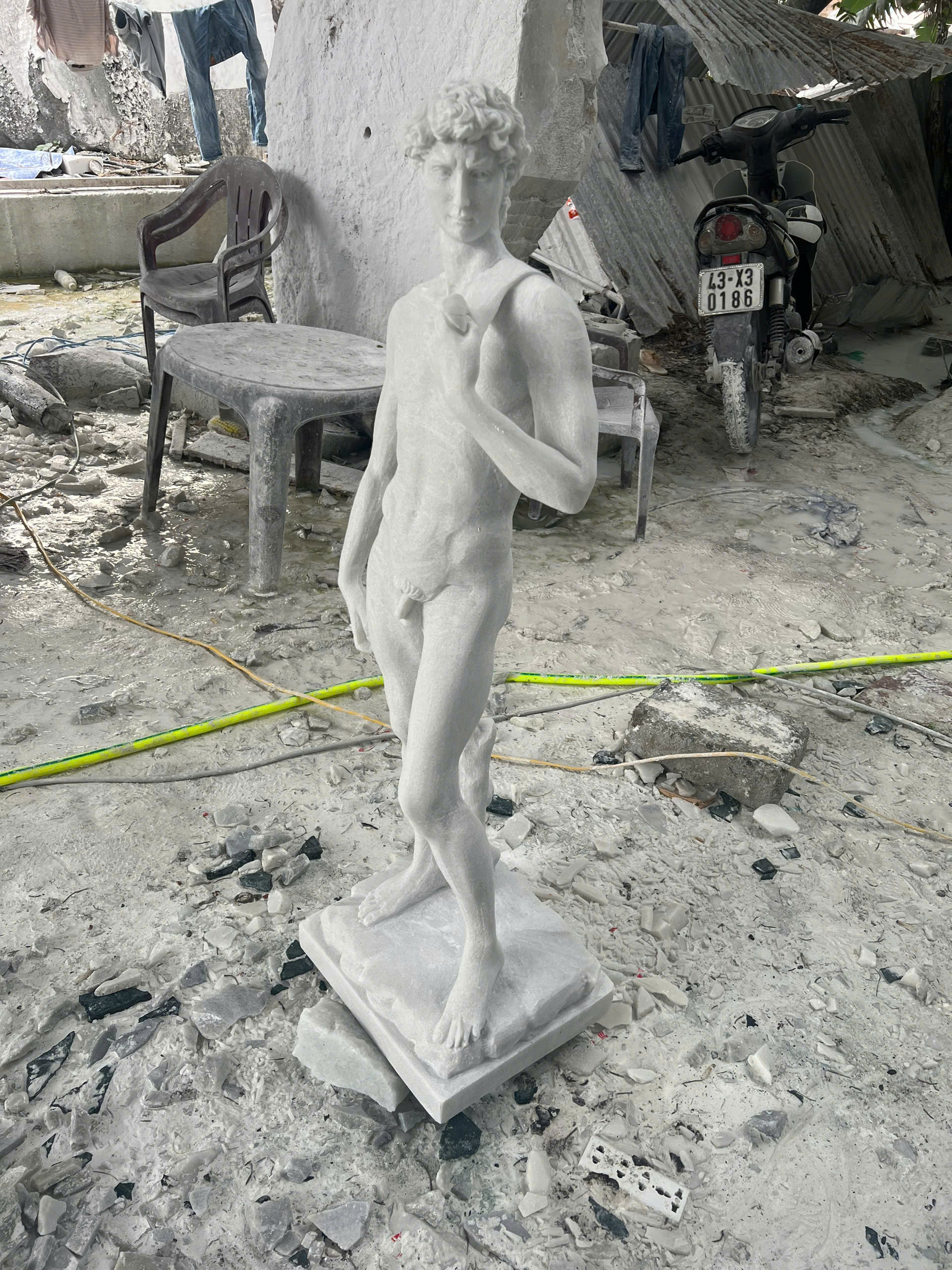 Michelangelo's David - Image 18