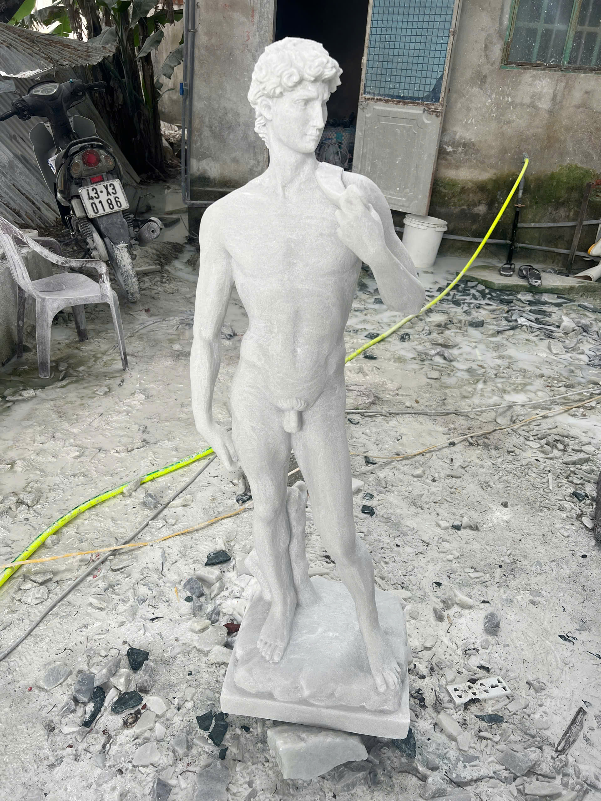 Michelangelo's David - Image 19