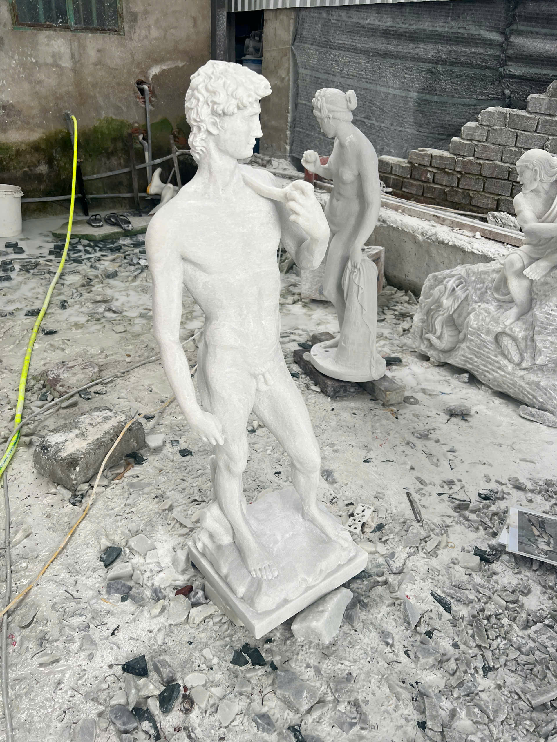 Michelangelo's David - Image 5