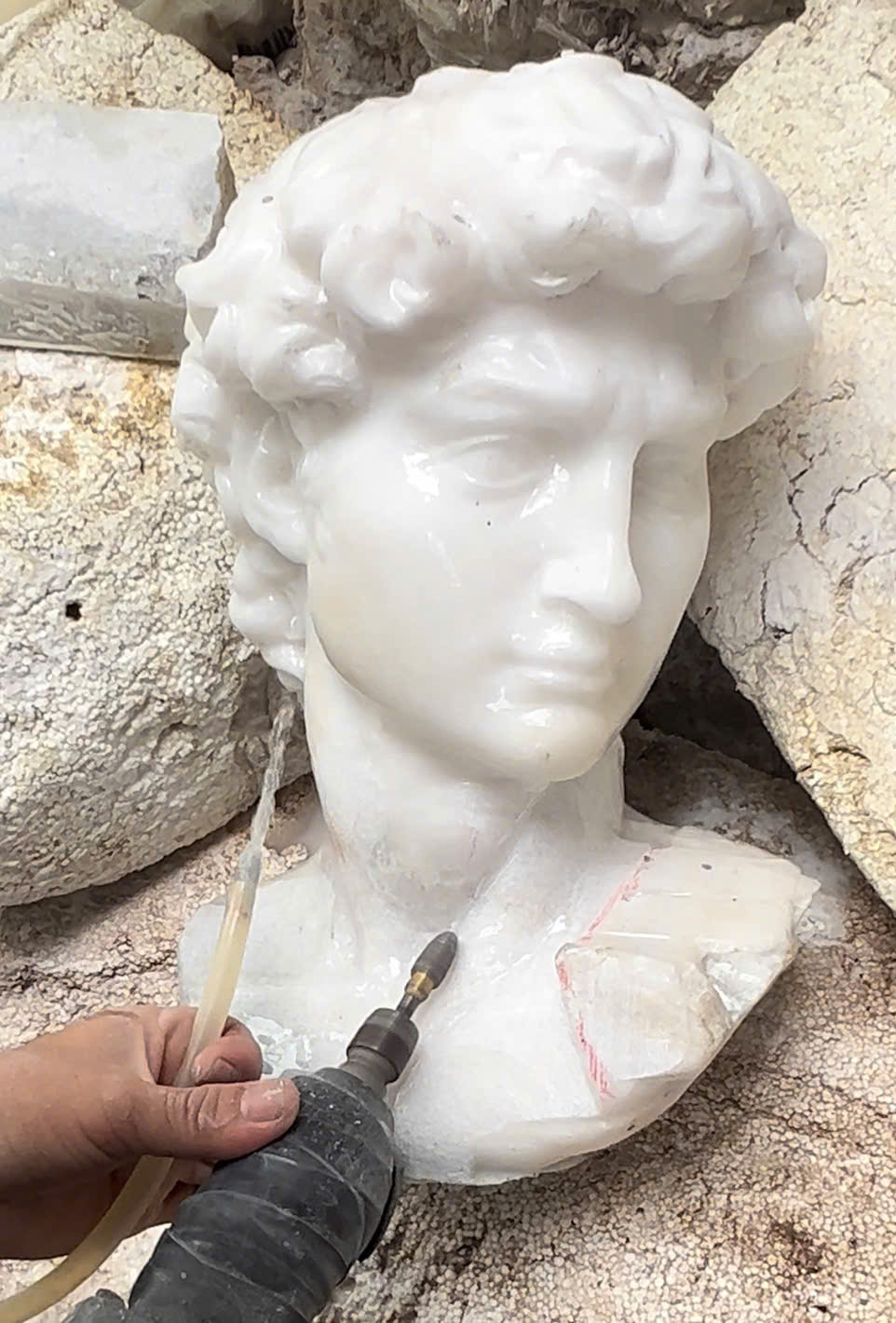 Michelangelo's David - Image 2