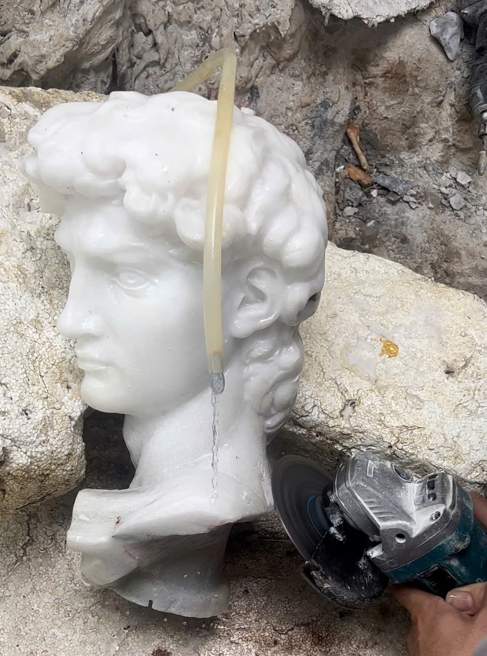 Michelangelo's David - Image 11