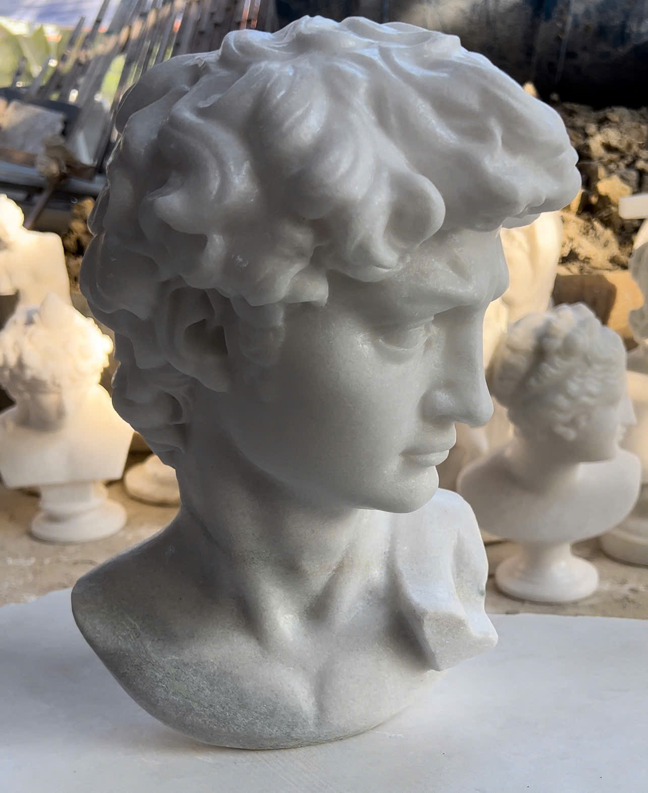 Michelangelo's David - Image 23