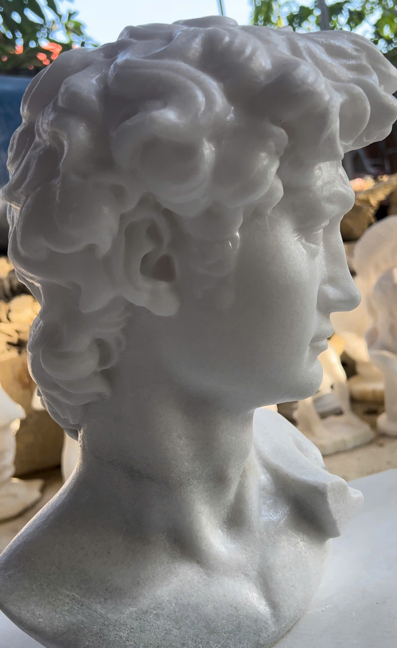 Michelangelo's David - Image 25