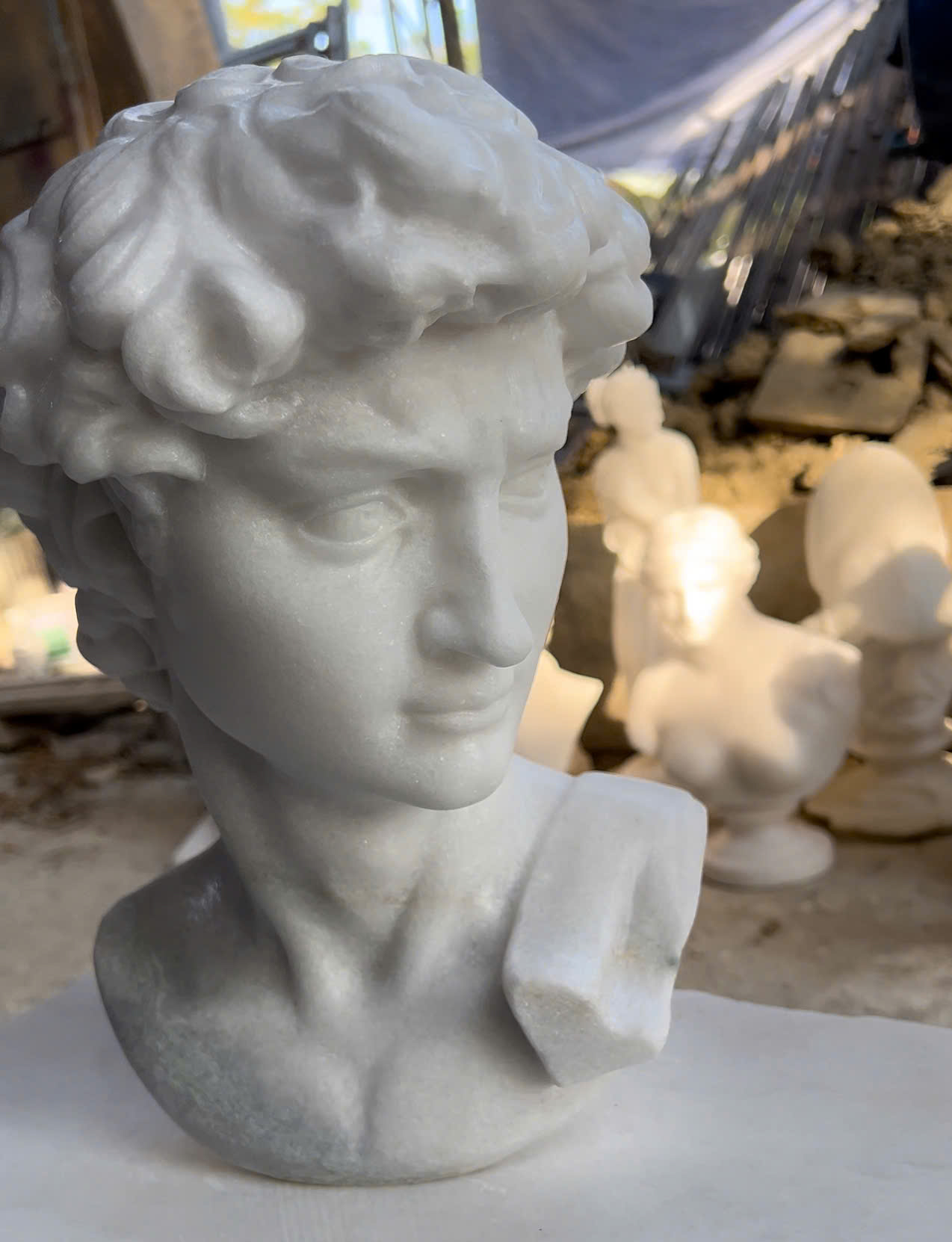 Michelangelo's David - Image 26