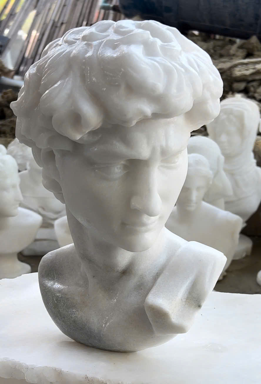 Michelangelo's David - Image 27