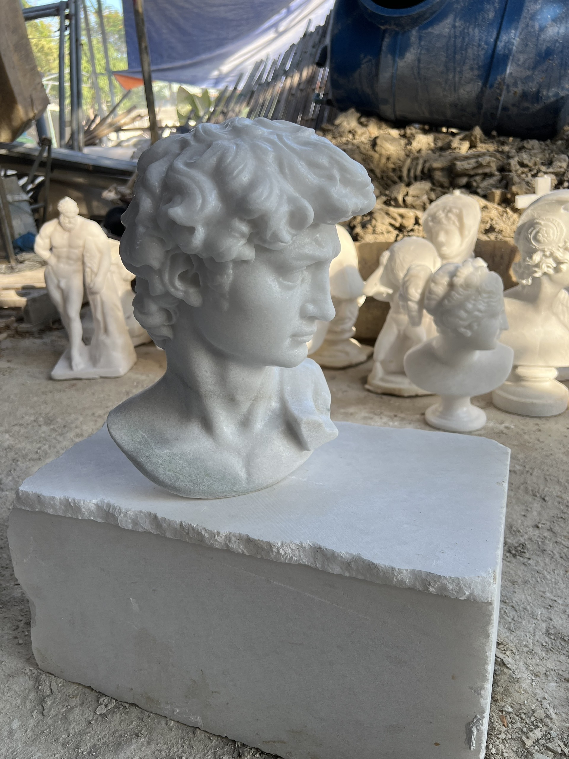 Michelangelo's David - Image 8