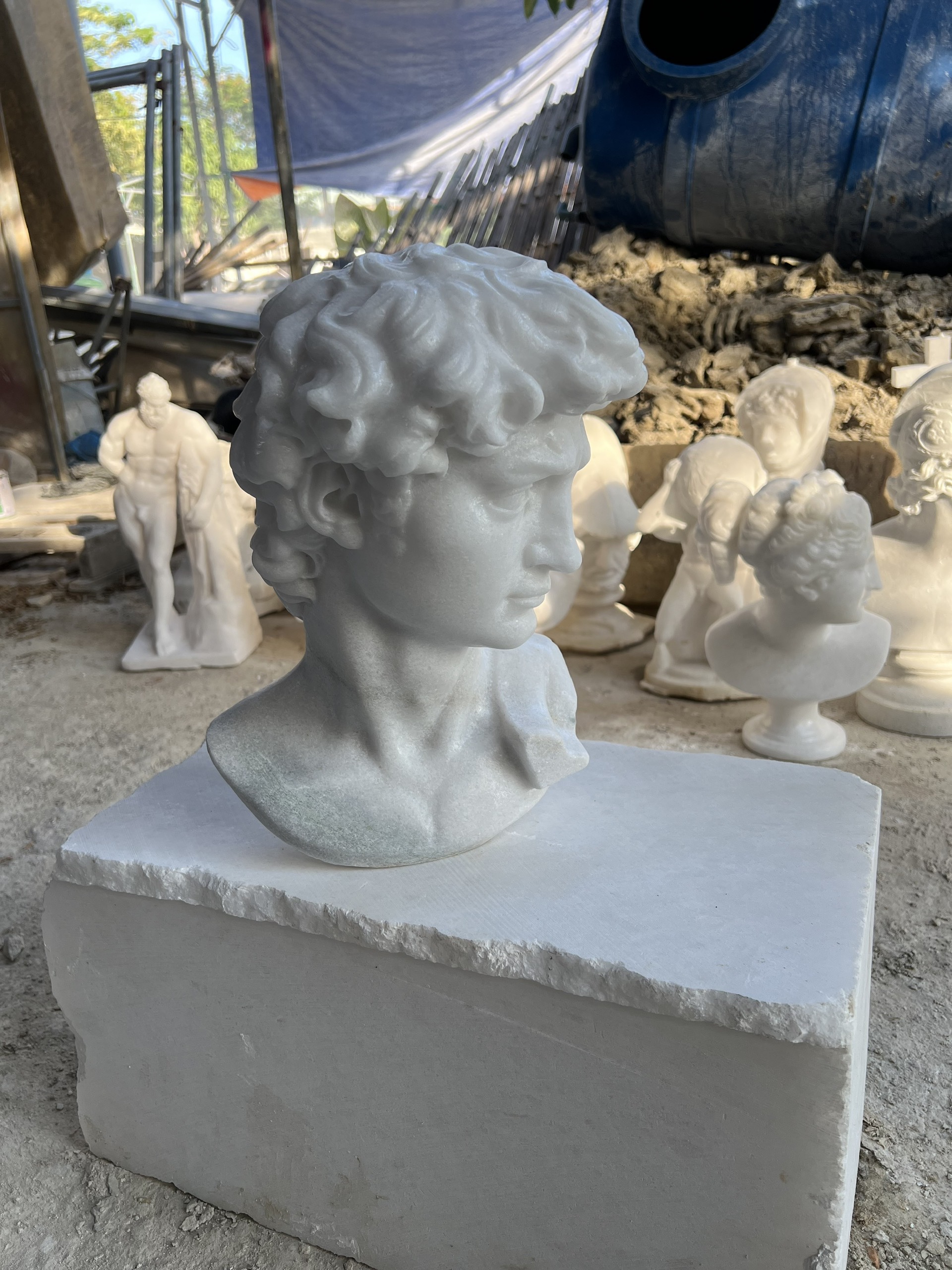 Michelangelo's David - Image 10