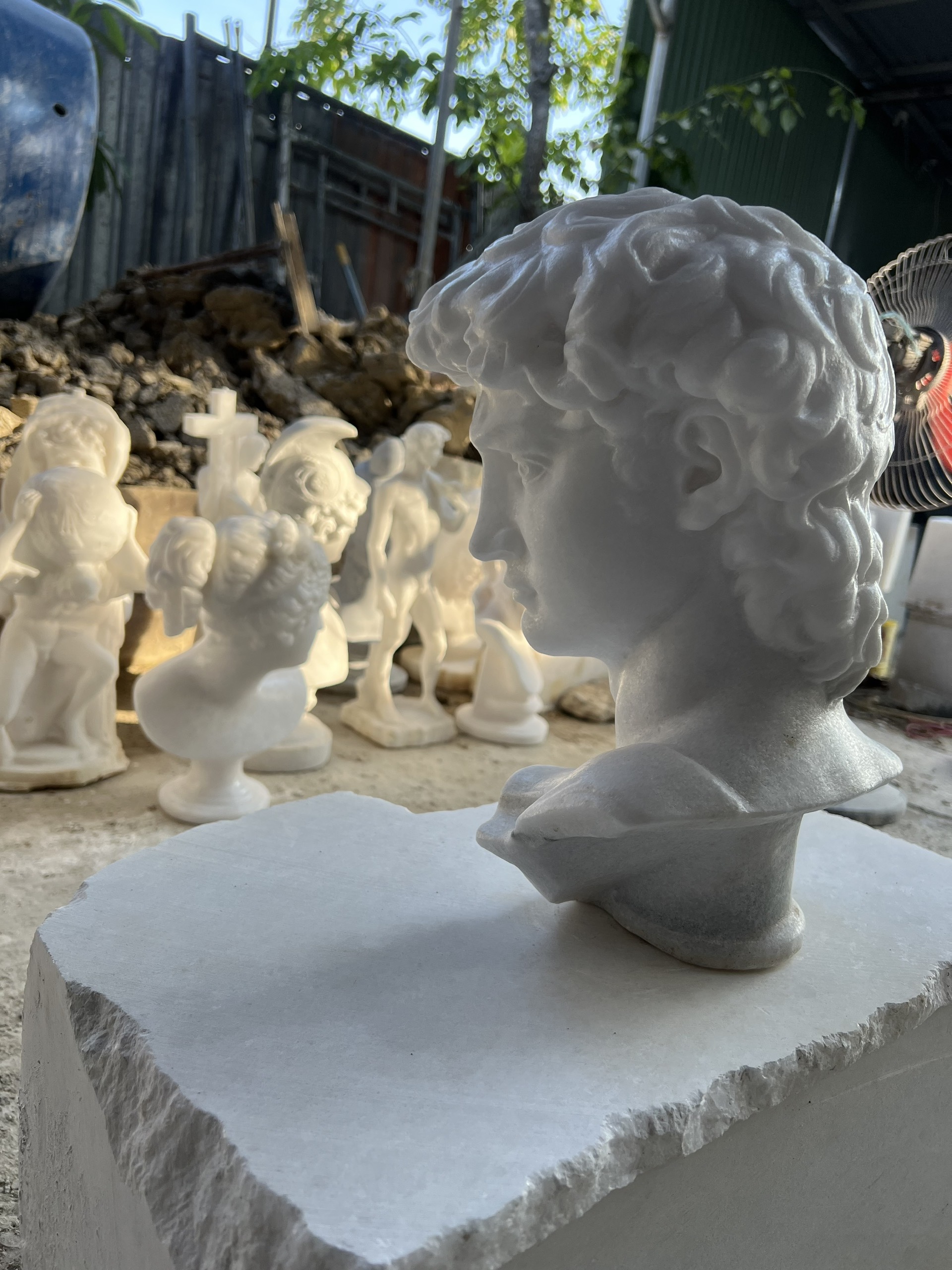 Michelangelo's David - Image 13