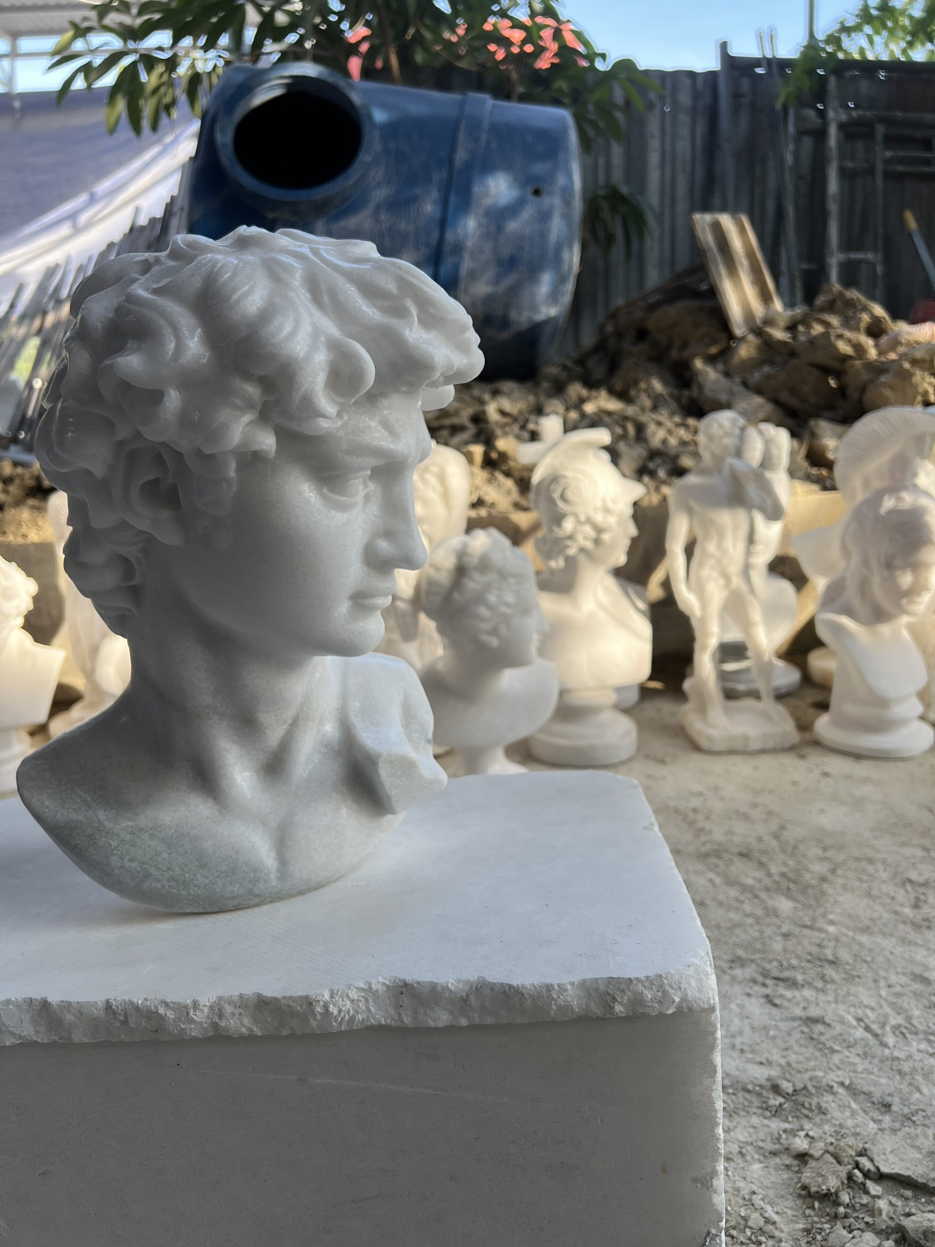 Michelangelo's David - Image 17