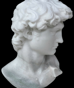 Michelangelo's David