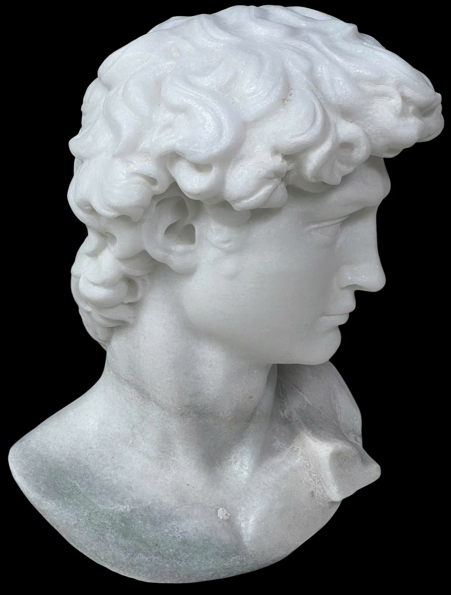 Michelangelo's David